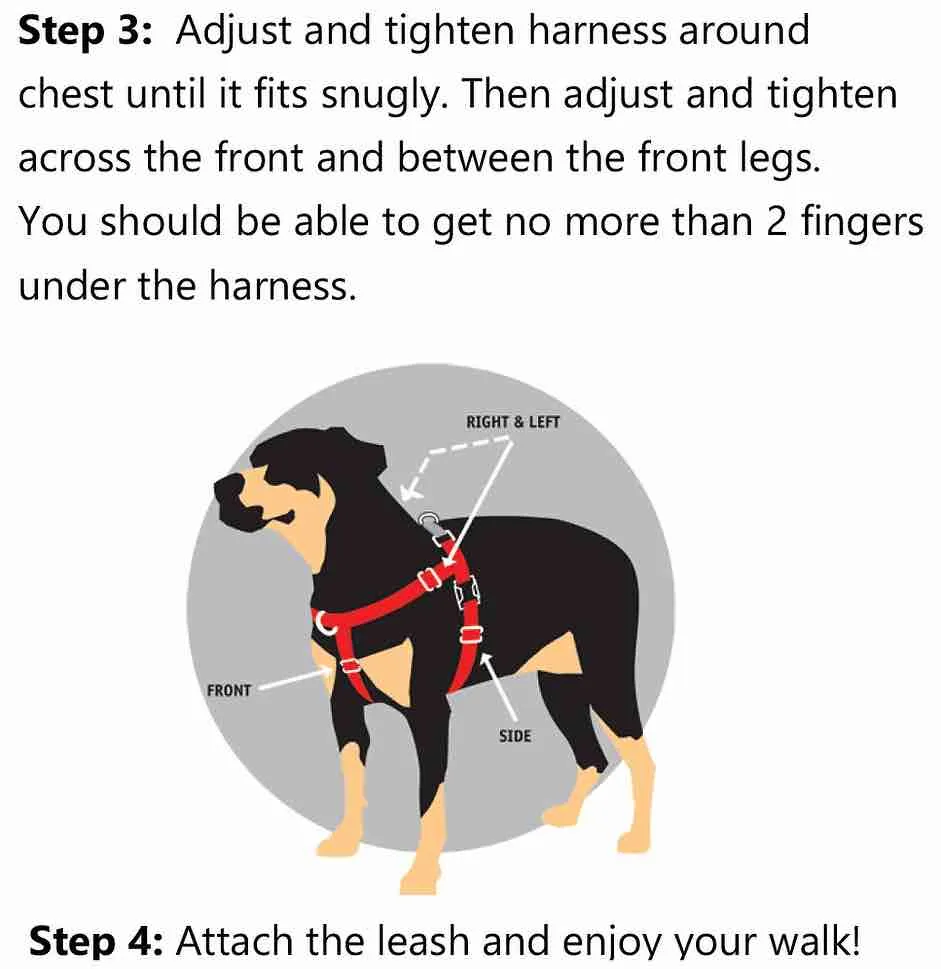 2 Hounds Design Freedom No-Pull Dog Harness & Leash - Turquoise/Silver
