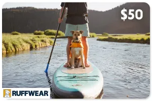 $50 Gift Card