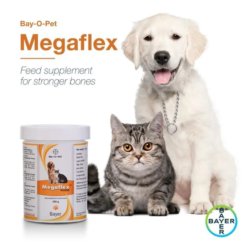 Bayer Megaflex Joint Care Supplement for Dogs and Cats