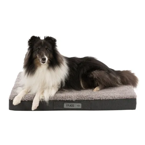 Bendson - Orthopaedic Cushion - Grey