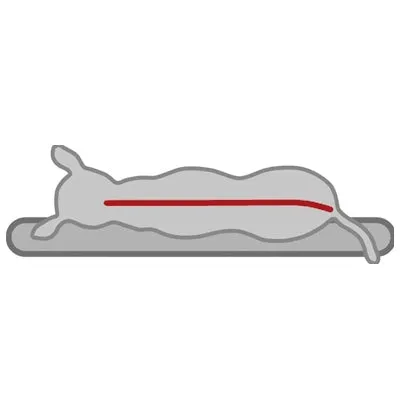 Bendson - Orthopaedic Cushion - Grey