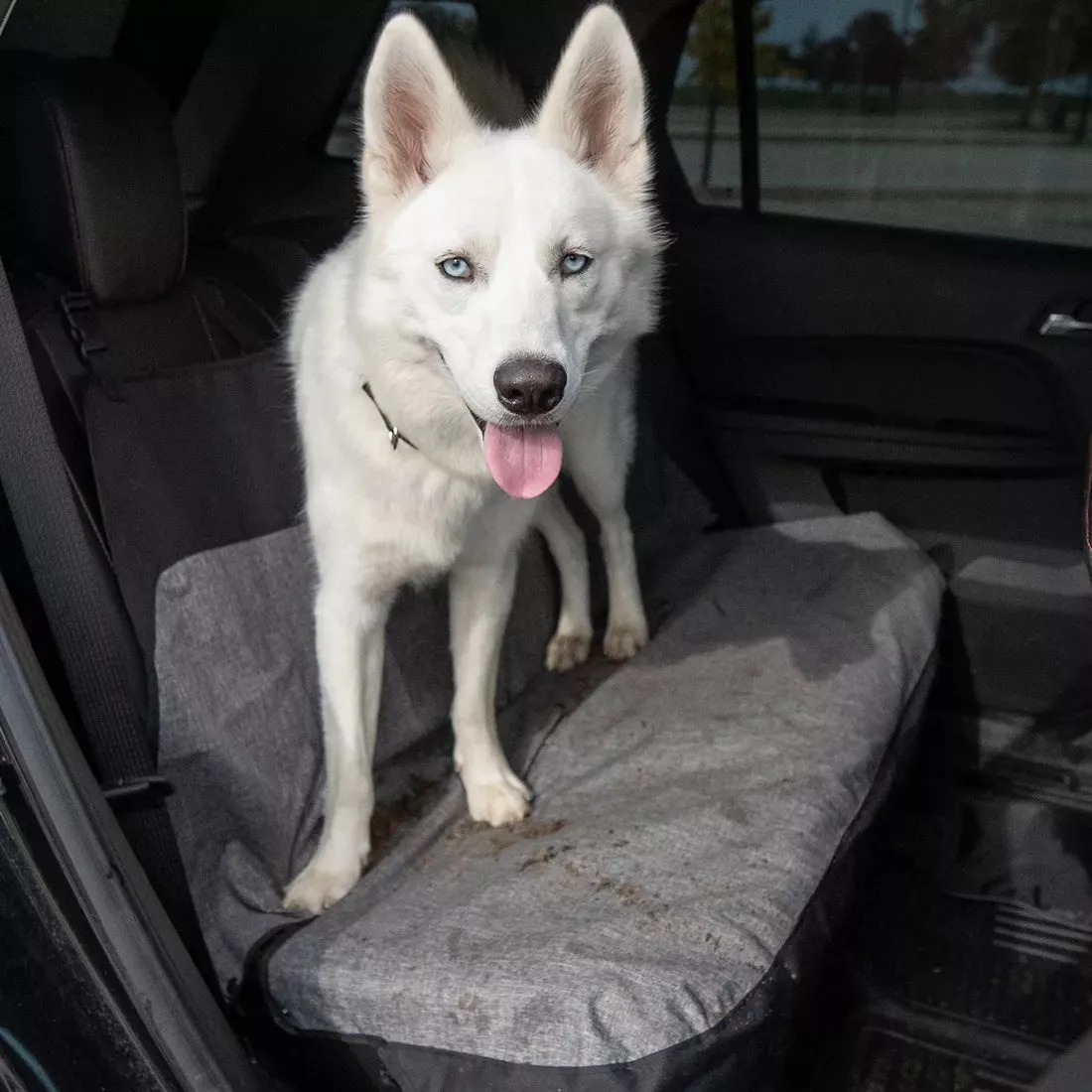 Bergan Auto Bench Seat Protector