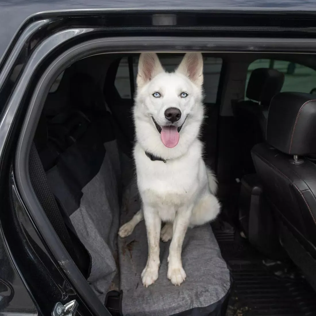 Bergan Auto Bench Seat Protector