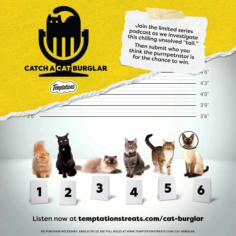 Birthday Cat Treats Lobster Beef Flavor 6.3 Oz