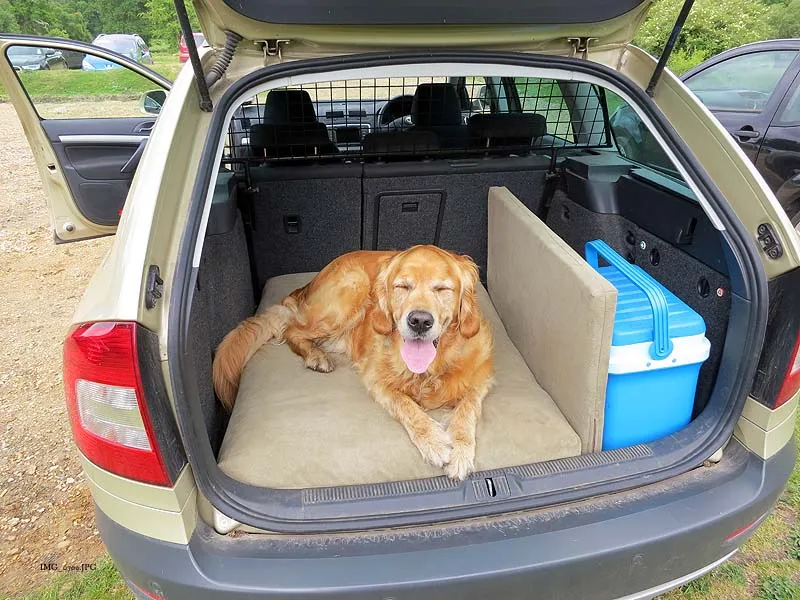 Dog Beds for Cars and Kennels