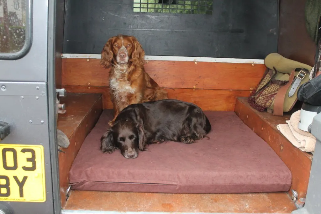 Dog Beds for Cars and Kennels
