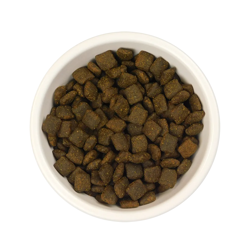 DOG - MIXED POULTRY BUNDLE