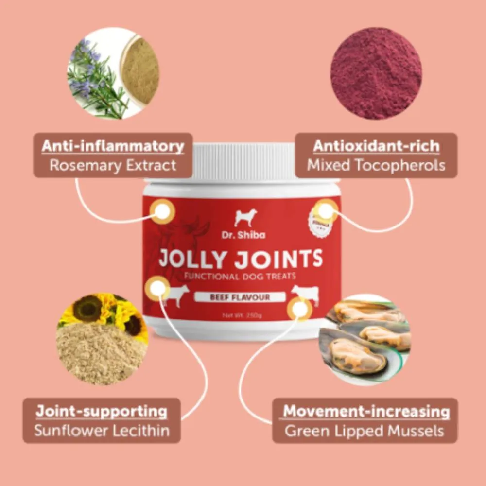 Dr. Shiba Dog Treats Supplement Jolly Joints Beef 250g