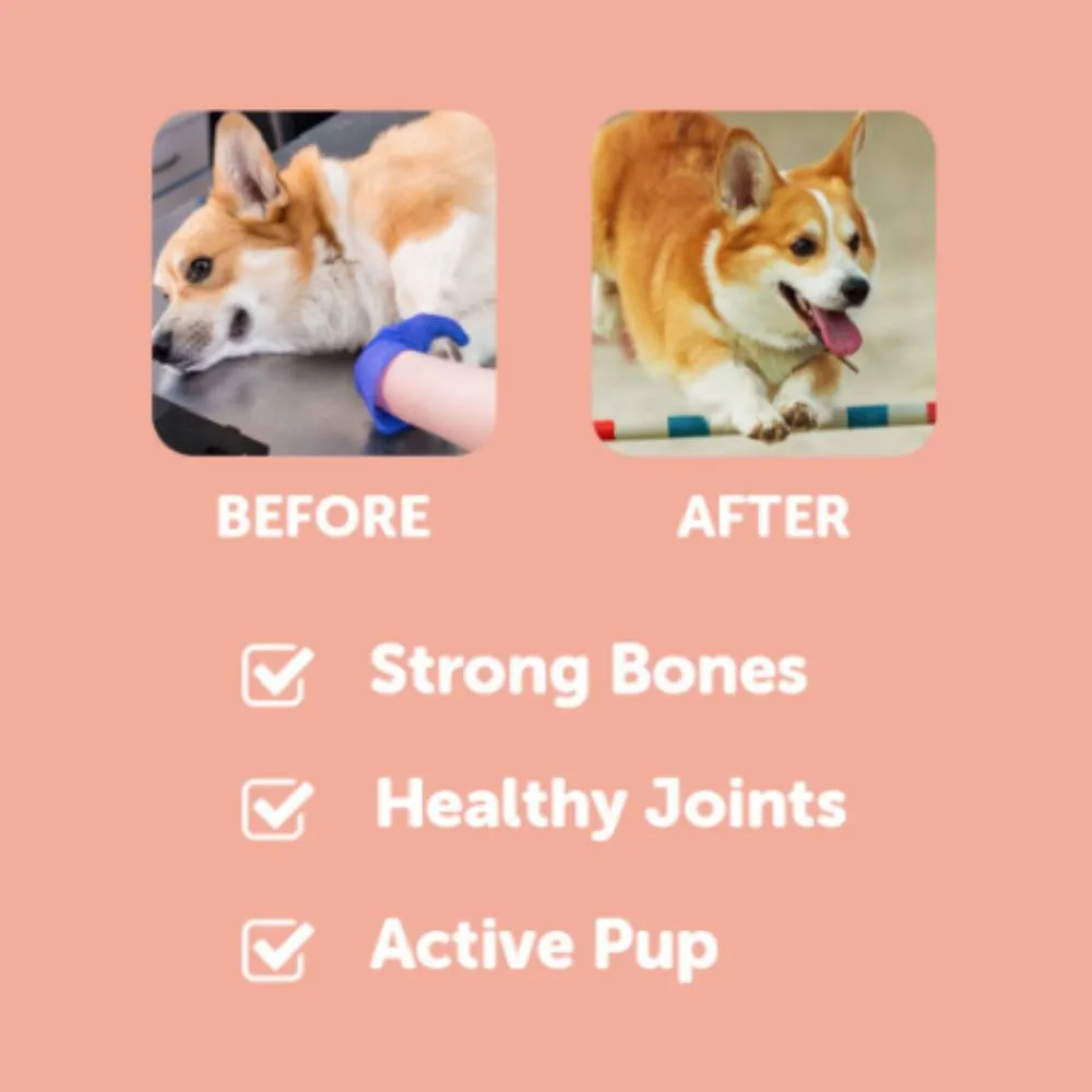 Dr. Shiba Dog Treats Supplement Jolly Joints Beef 250g