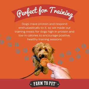 Farm To Pet Turkey Chips Dog Treats