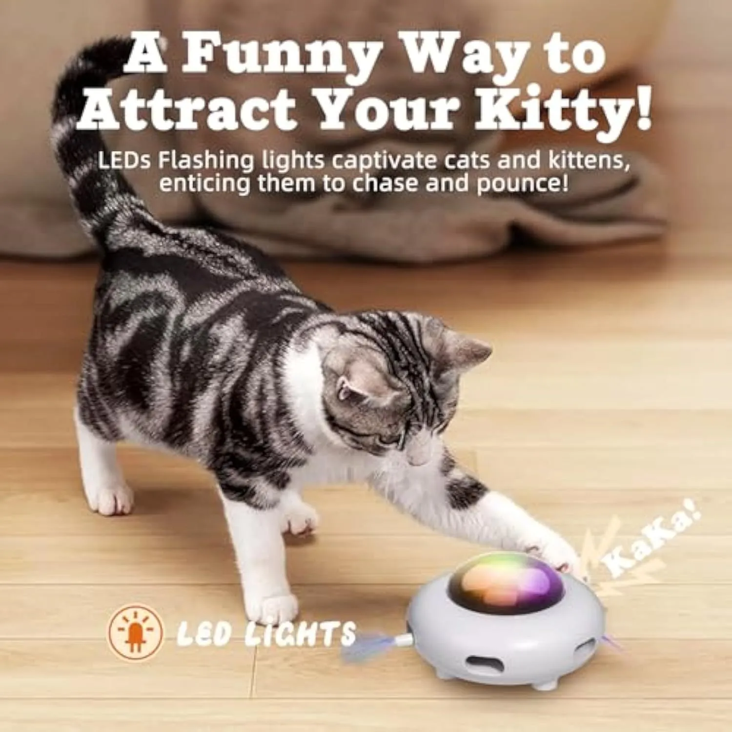 Interactive Cat Toys for Indoor Cats
