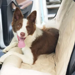 Julibee X-Large Dog Car Seat Mat（safety belt included）