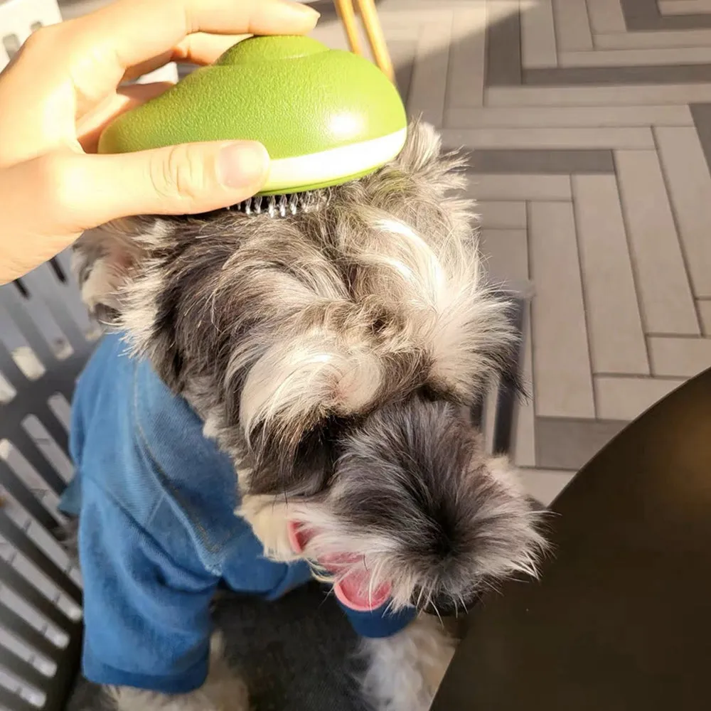 Lemon-Shaped Pet Grooming Comb