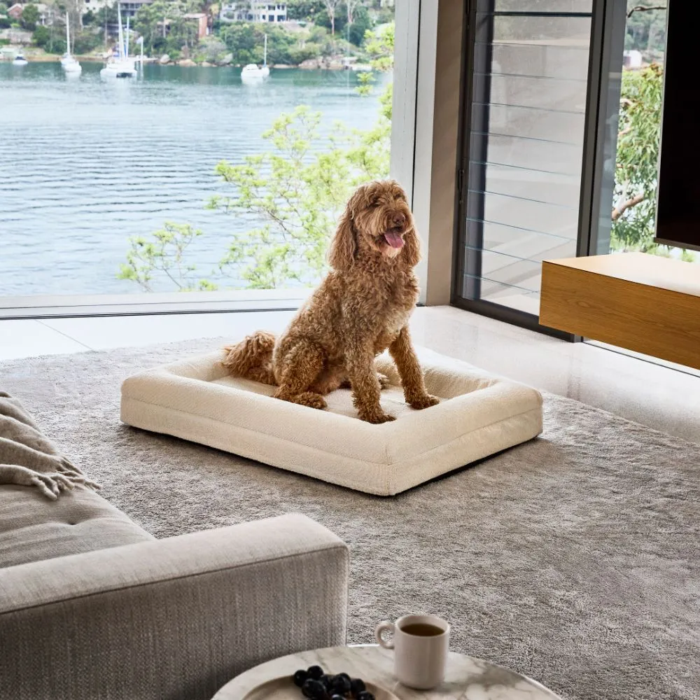 Memory Foam Dog Bed - Boucle Ivory