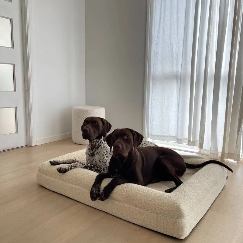Memory Foam Dog Bed - Boucle Ivory