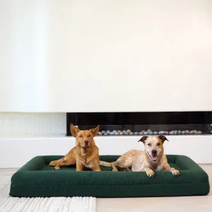 Memory Foam Dog Bed - Size XL Overstock