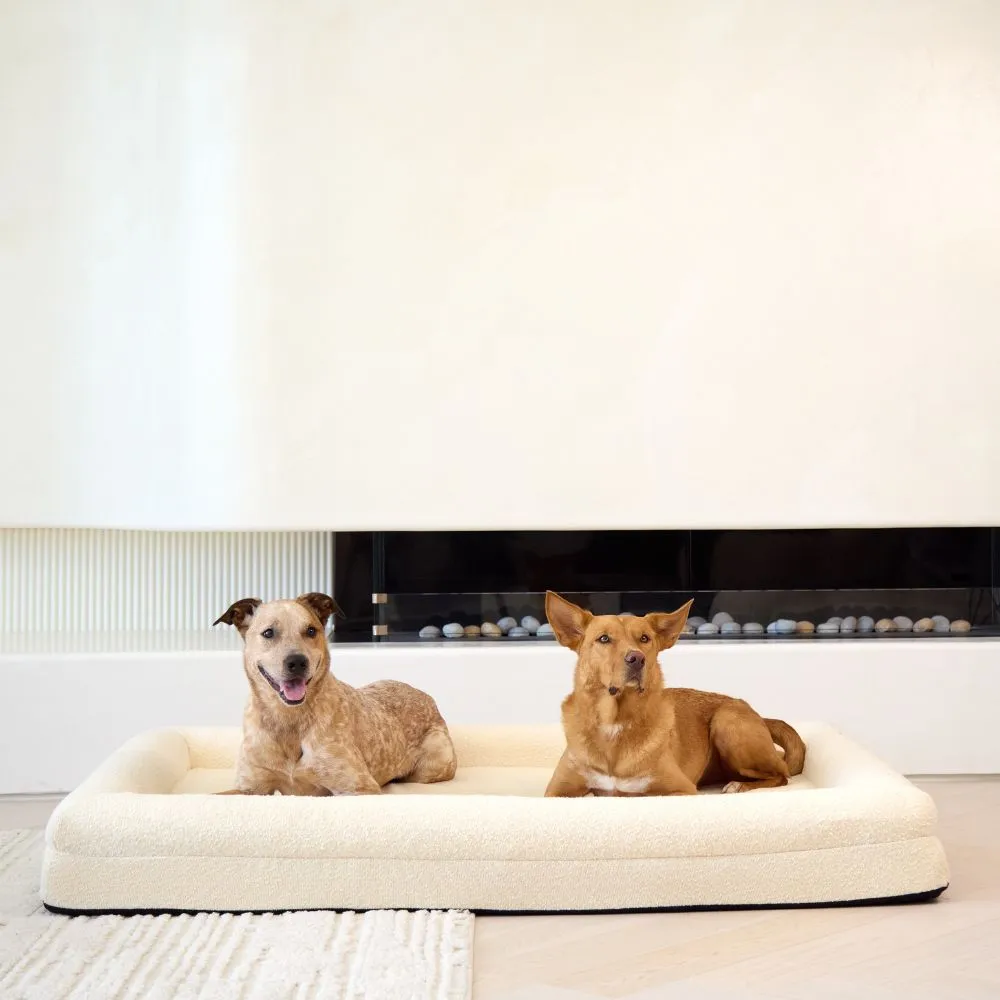 Memory Foam Dog Bed - Size XL Overstock