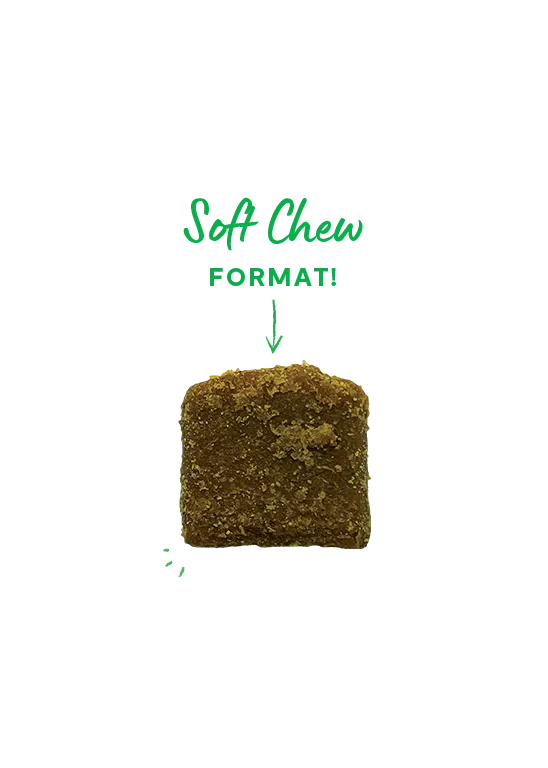 Open Farm Hip & Joint Supplement Soft Chews for Dogs
