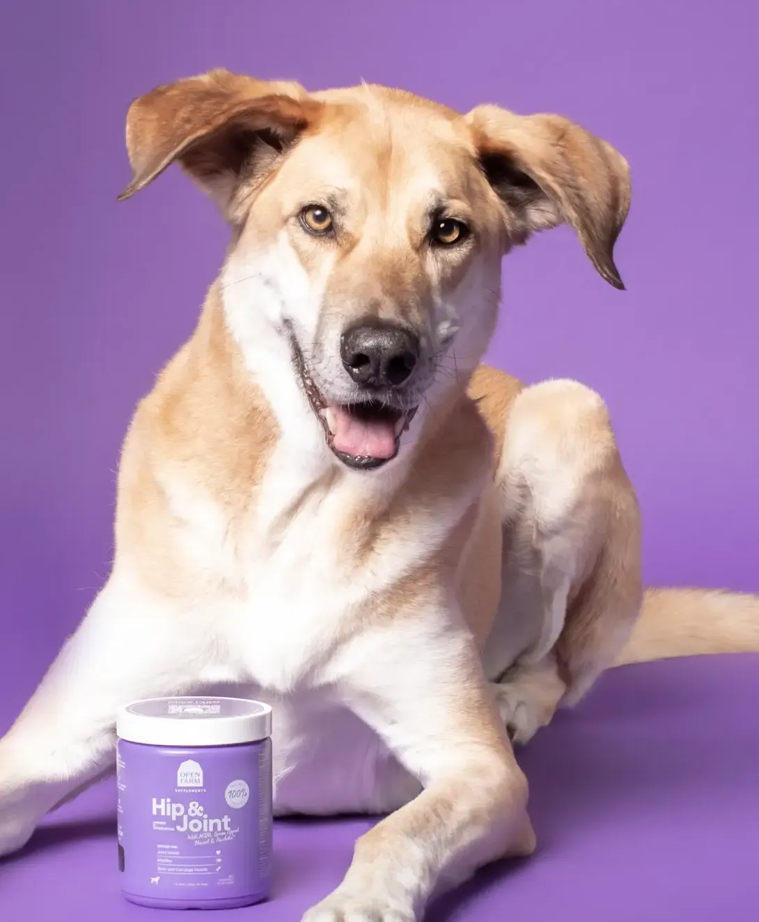 Open Farm Hip & Joint Supplement Soft Chews for Dogs