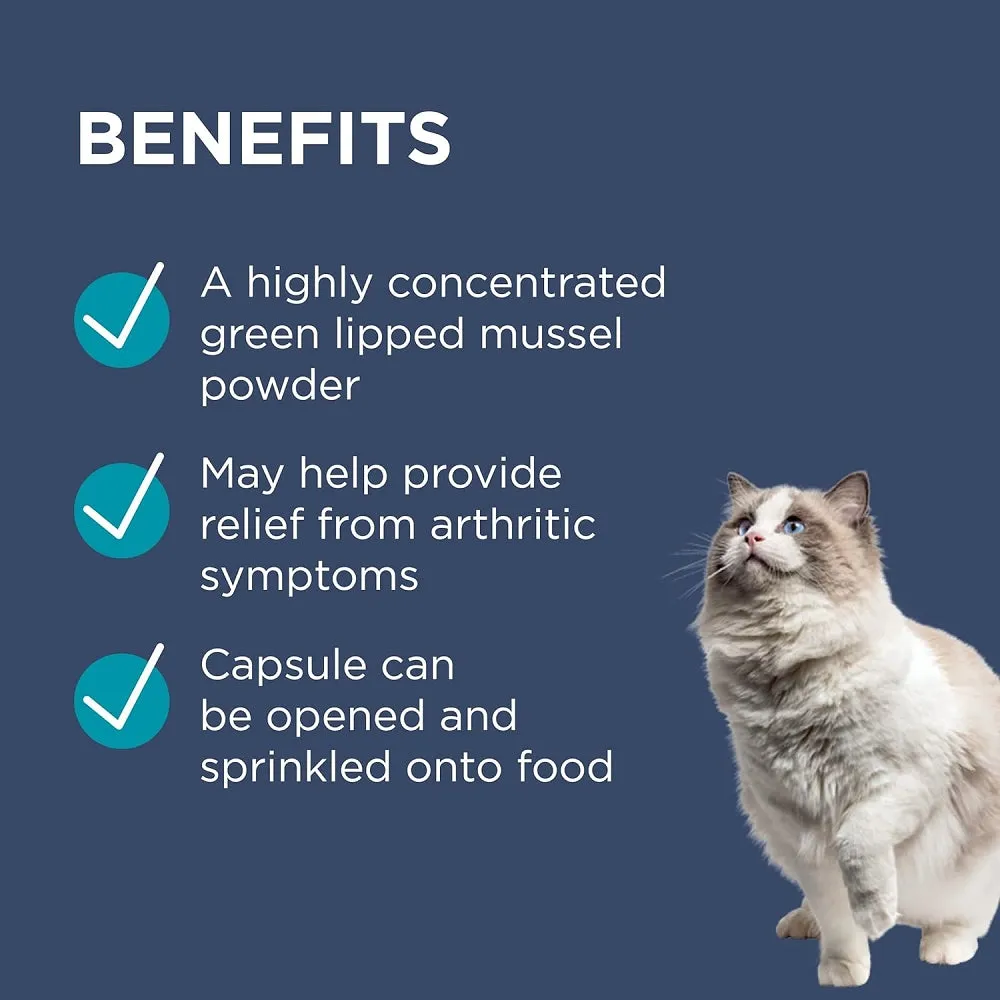 Paw Osteocare Joint Advanced Care Supplment for Cats