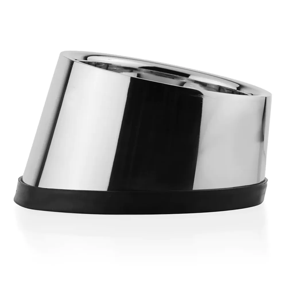 Pawpourri Stainless Steel Tilted Bowl for Dogs and Cats