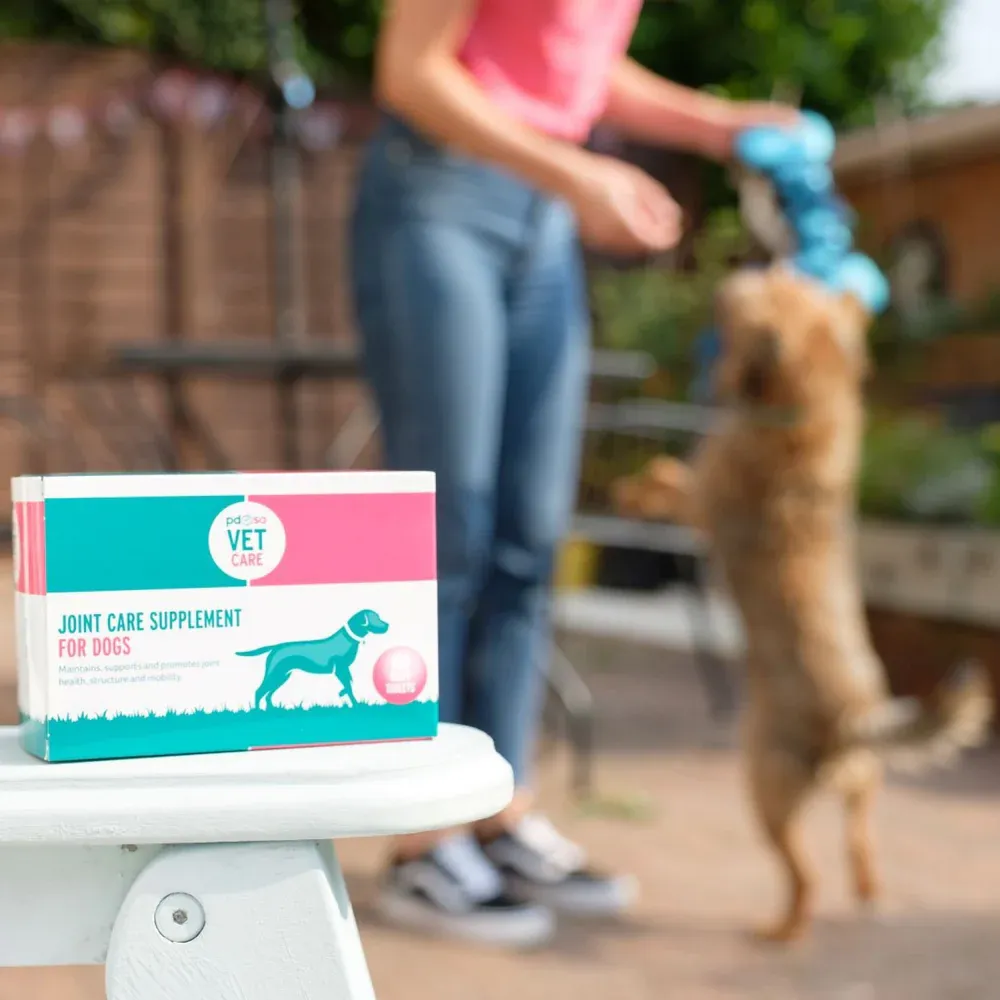 PDSA Vet Care | Joint Supplement Dogs