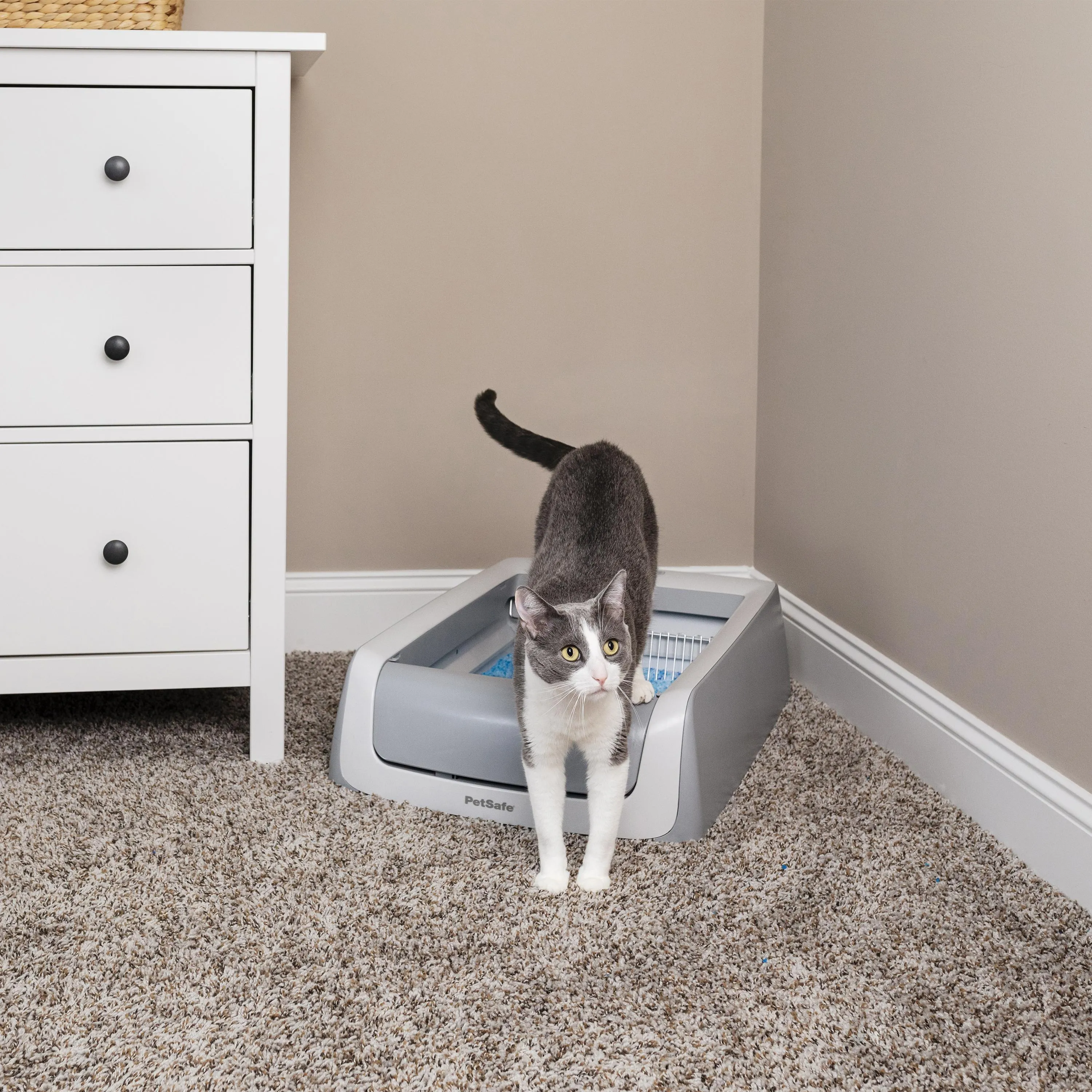 PetSafe Second Generation ScoopFree Self Cleaning Cat Litter Tray^^^