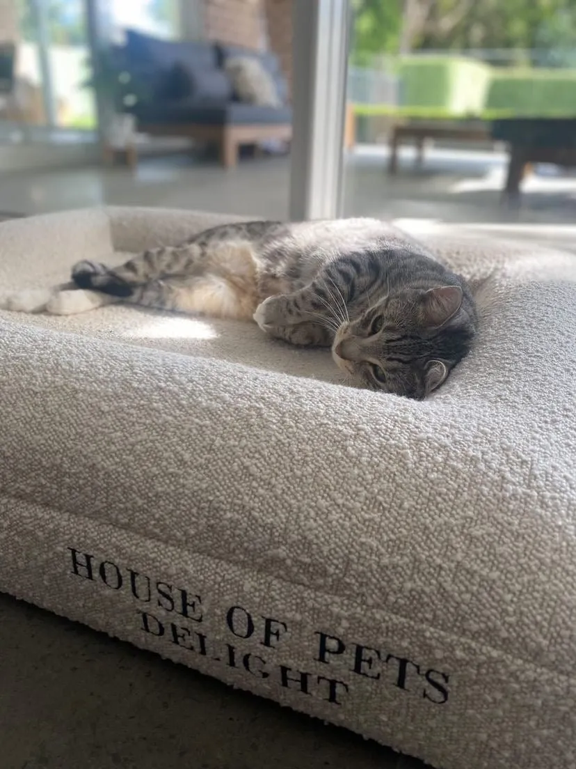 Pre-Order - HOPD Memory Foam Dog Bed in Bouclé