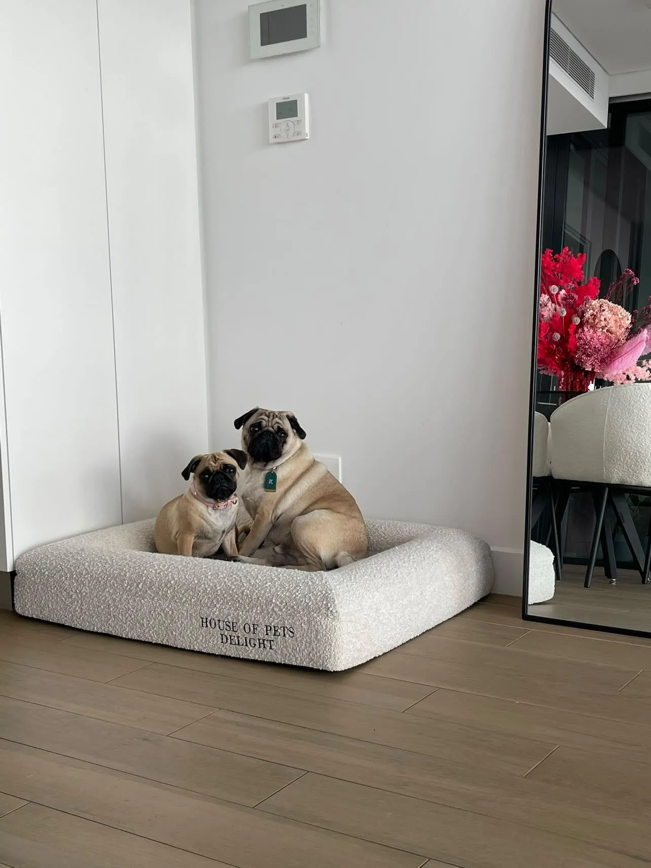 Pre-Order - HOPD Memory Foam Dog Bed in Bouclé