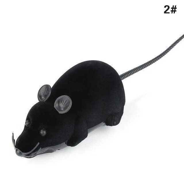 Remote Controlled Mouse Toy