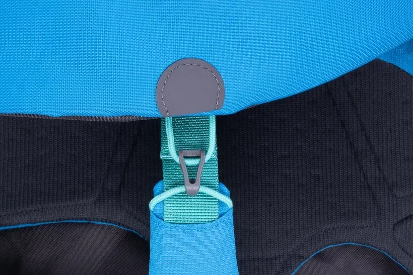 Ruffwear Approach Dog Pack