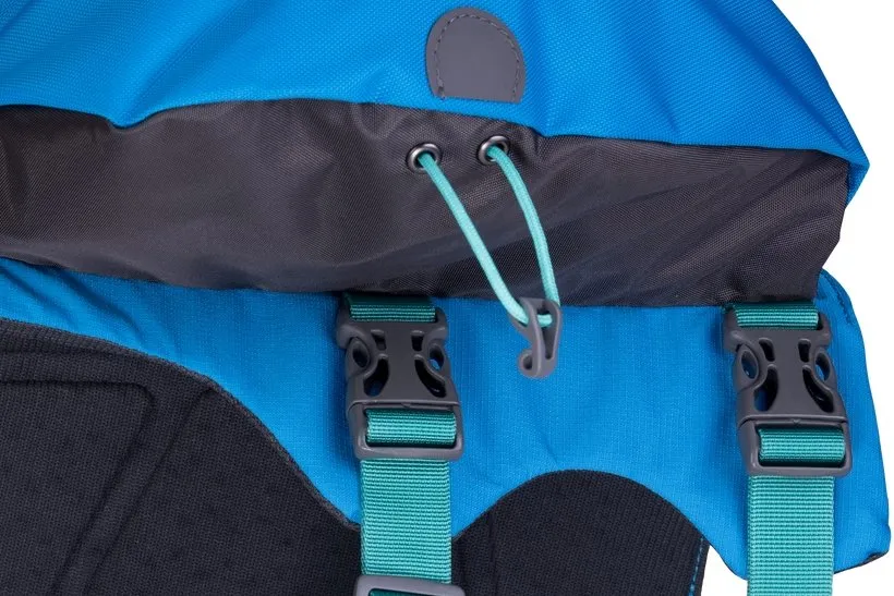 Ruffwear Approach Dog Pack