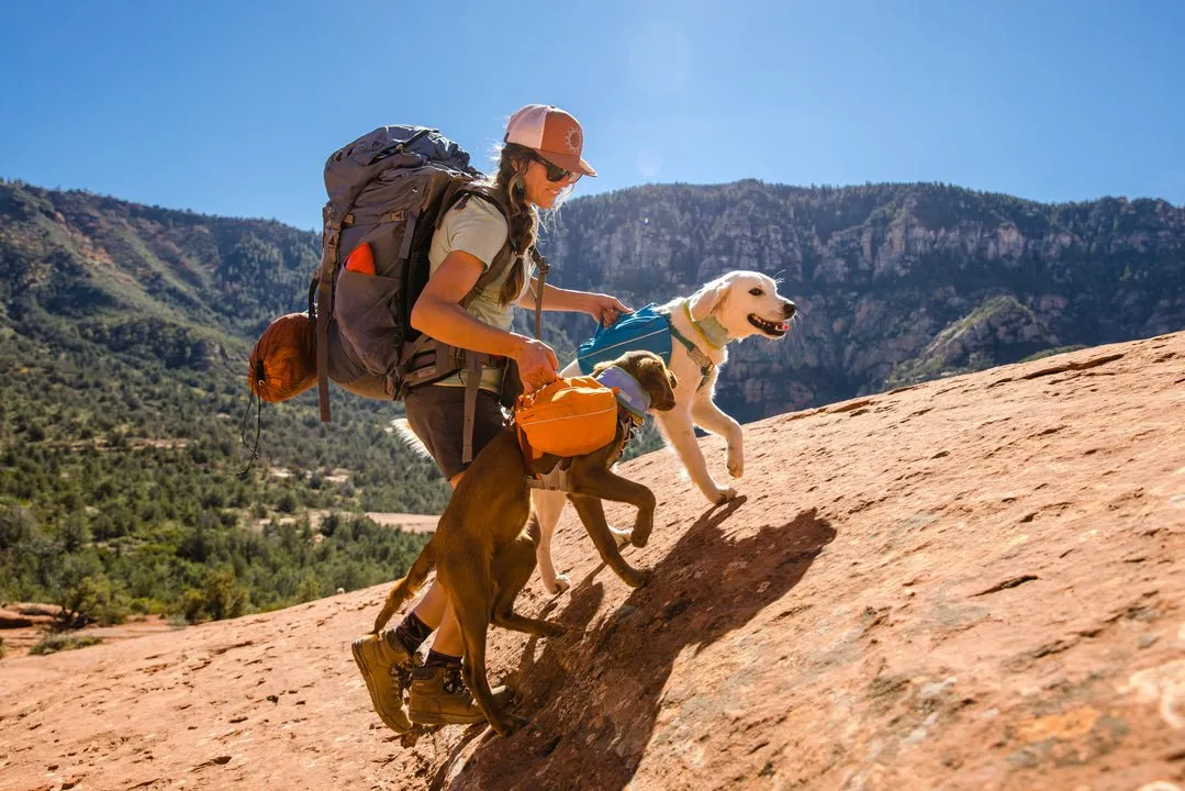 Ruffwear Approach Dog Pack
