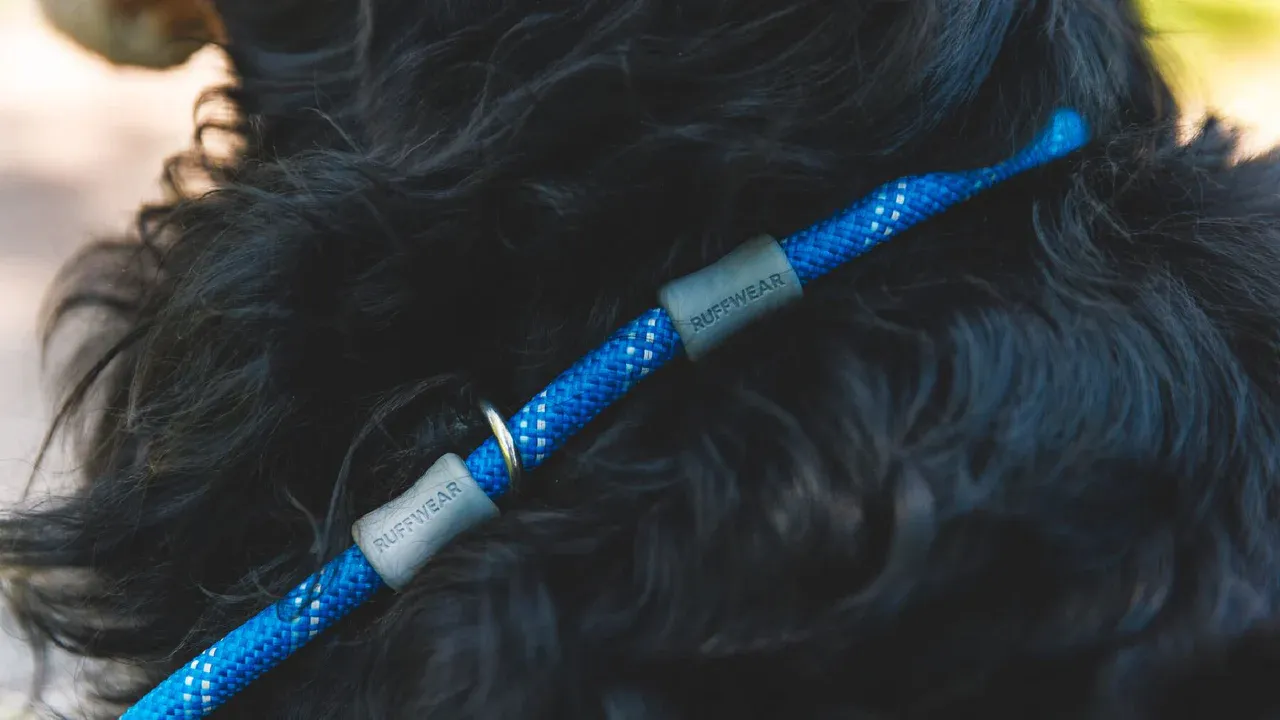Ruffwear Dog Leash: Just-a-Cinch 2024