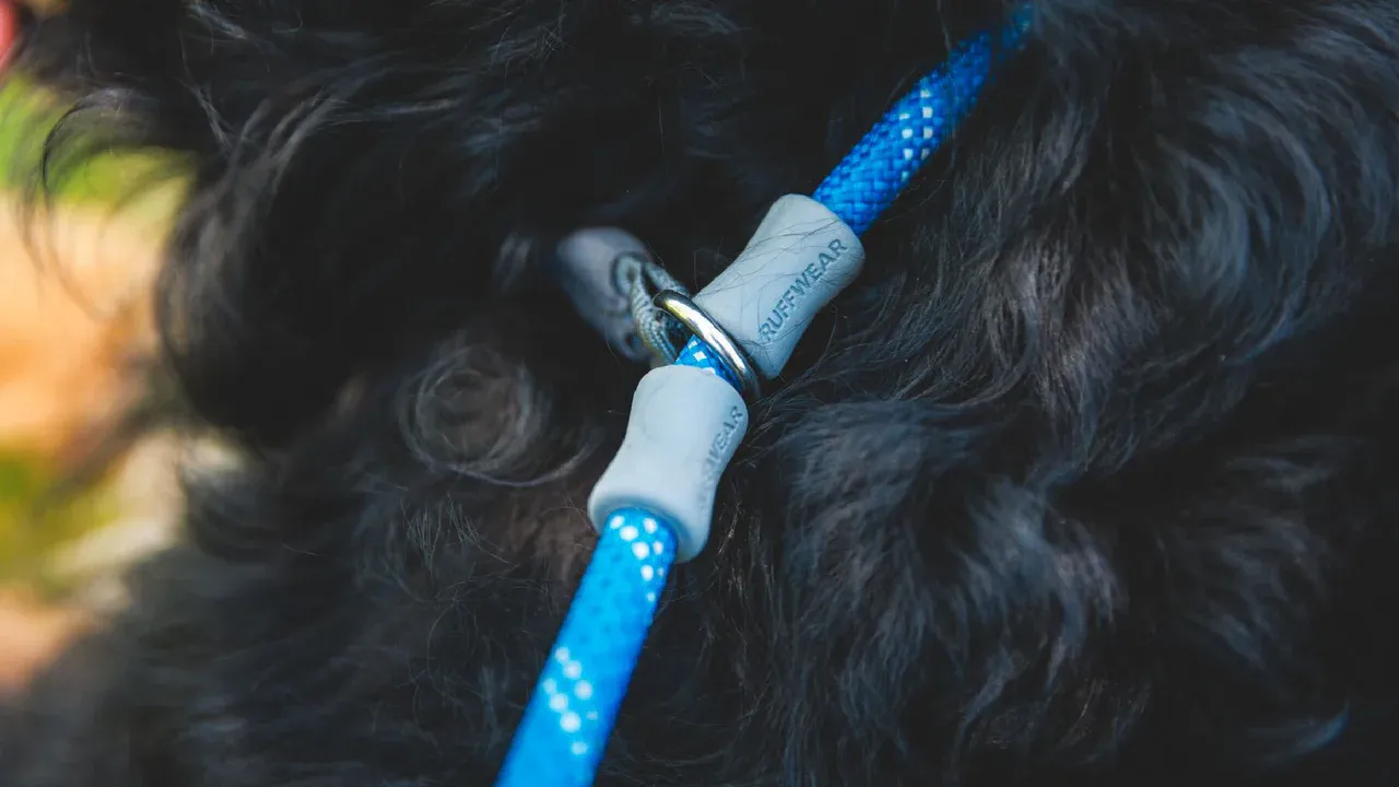 Ruffwear Dog Leash: Just-a-Cinch 2024