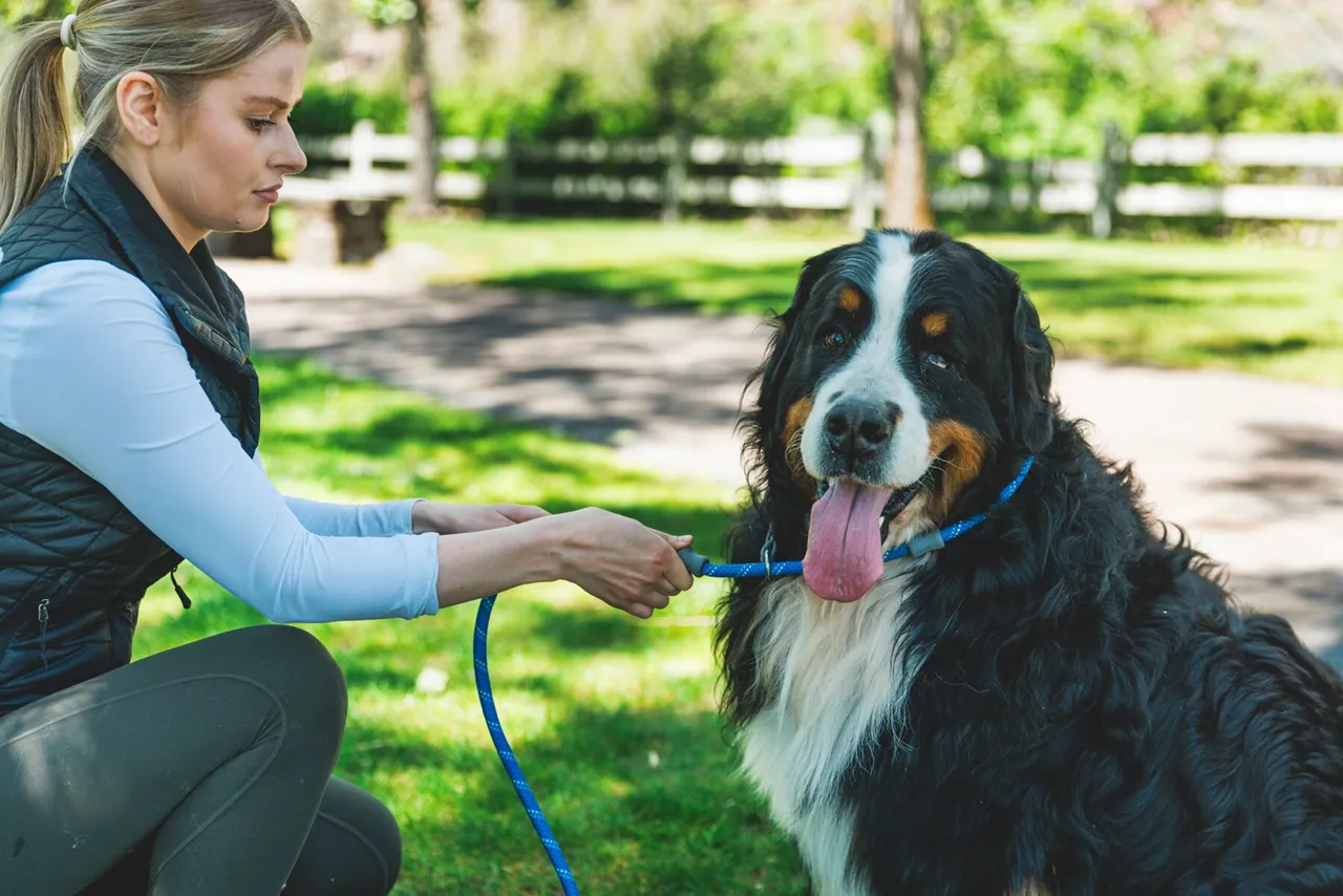 Ruffwear Dog Leash: Just-a-Cinch 2024