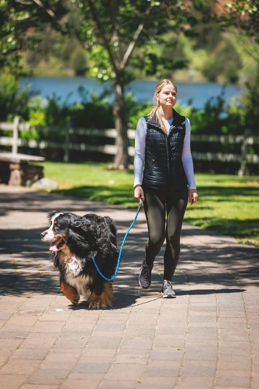 Ruffwear Dog Leash: Just-a-Cinch 2024
