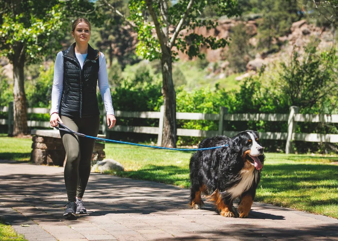 Ruffwear Dog Leash: Just-a-Cinch 2024