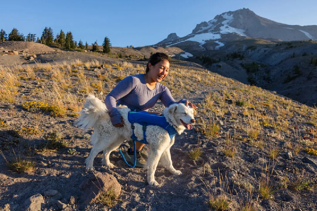 Ruffwear Dog Running Vest, Trail Runner