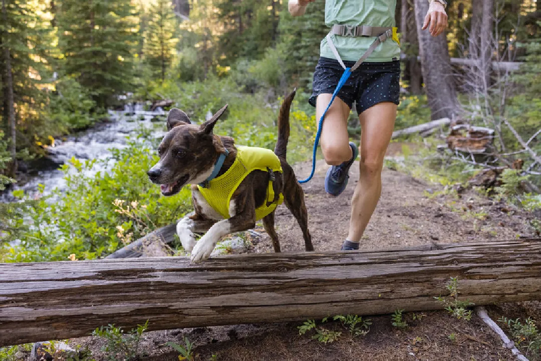 Ruffwear Dog Running Vest, Trail Runner