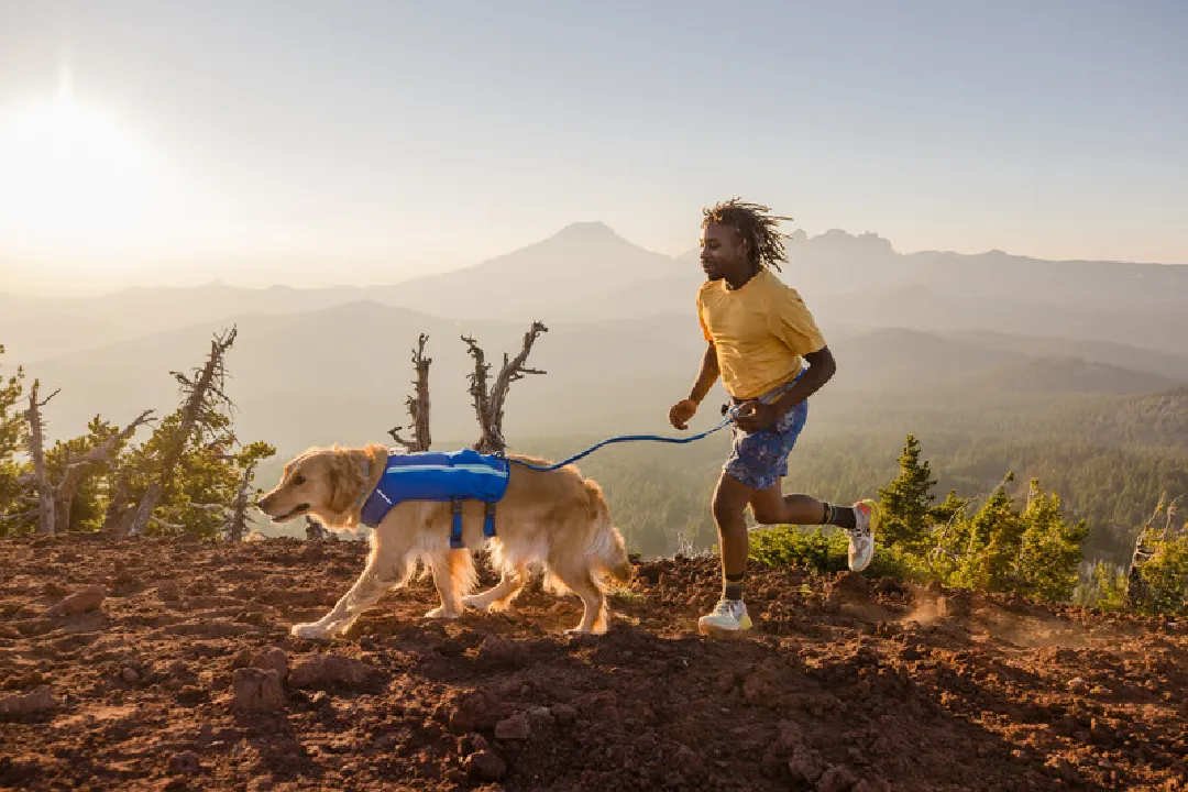 Ruffwear Dog Running Vest, Trail Runner