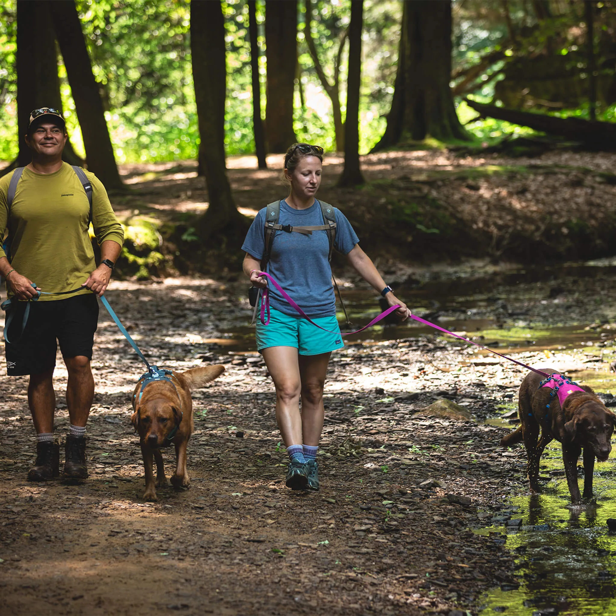 Ruffwear Flagline Harness for Dogs