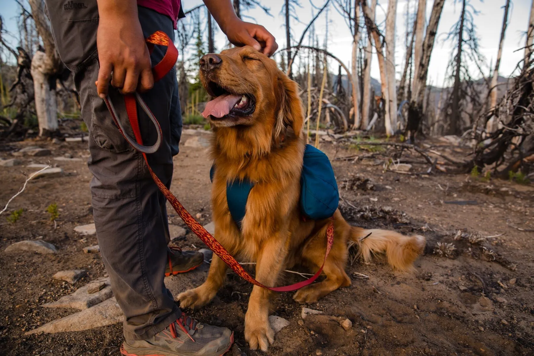 Ruffwear: Flat Out Adjustable Dog Leash