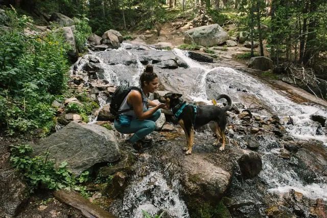Ruffwear Front Range® Dog Harness in Tumalo Teal