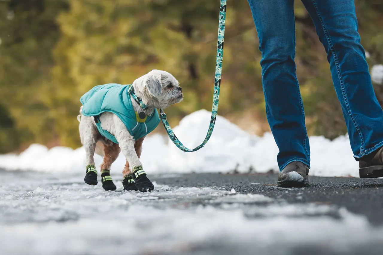 Ruffwear Front Range: Dog Leash