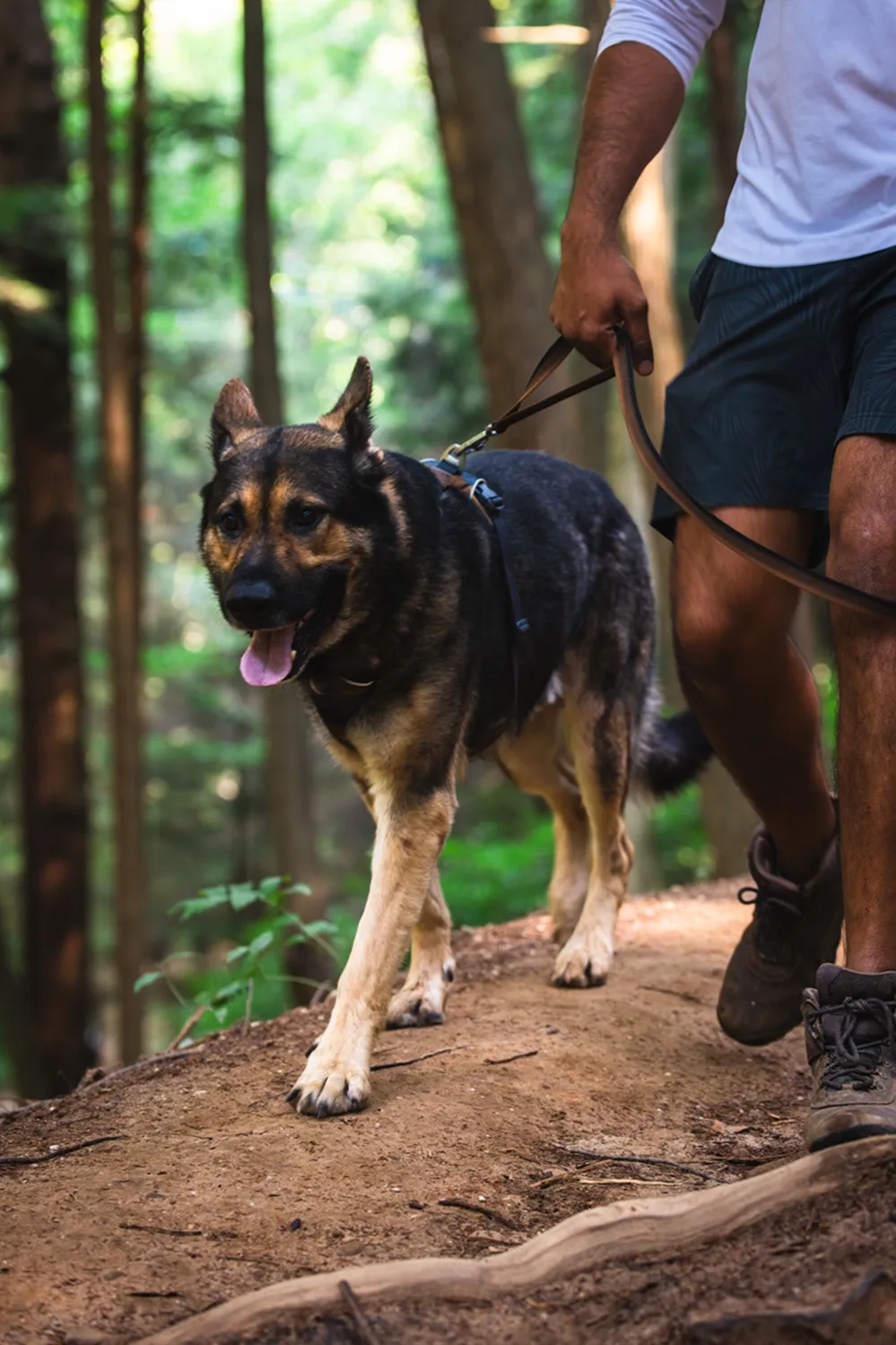 Ruffwear Front Range: Dog Leash
