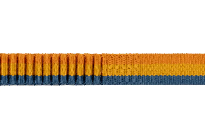 Ruffwear Roamer Bungee Dog Leash