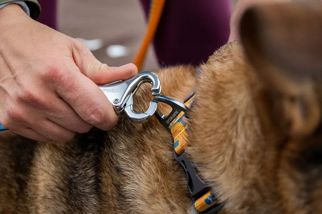 Ruffwear Roamer Bungee Dog Leash