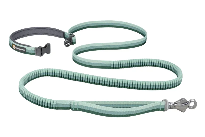 Ruffwear Roamer Bungee Dog Leash