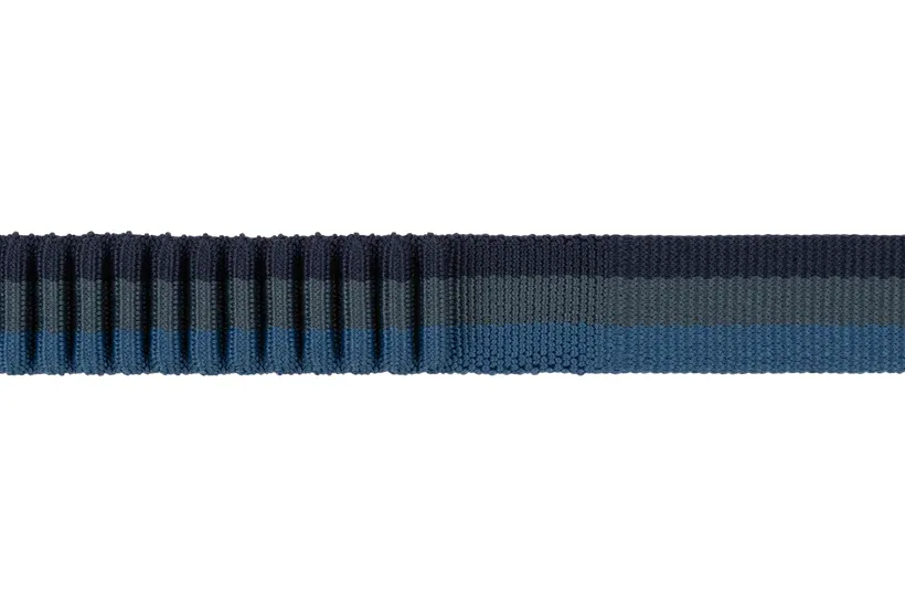 Ruffwear Roamer Bungee Dog Leash